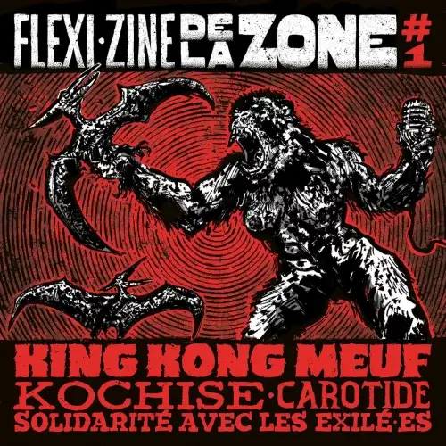 FLEXI-ZINE DE LA ZONE 1