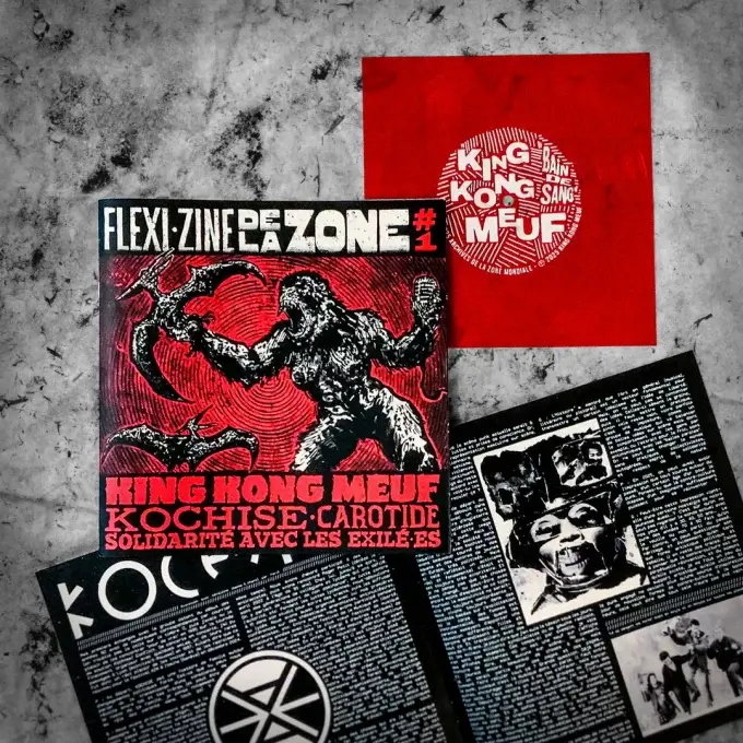 FLEXI-ZINE DE LA ZONE 1 – Image 2