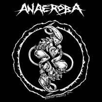 ANAEROBA Over The Walls And Borders