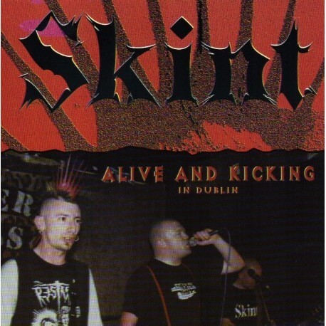 SKINT Alive and kicking in Dublin