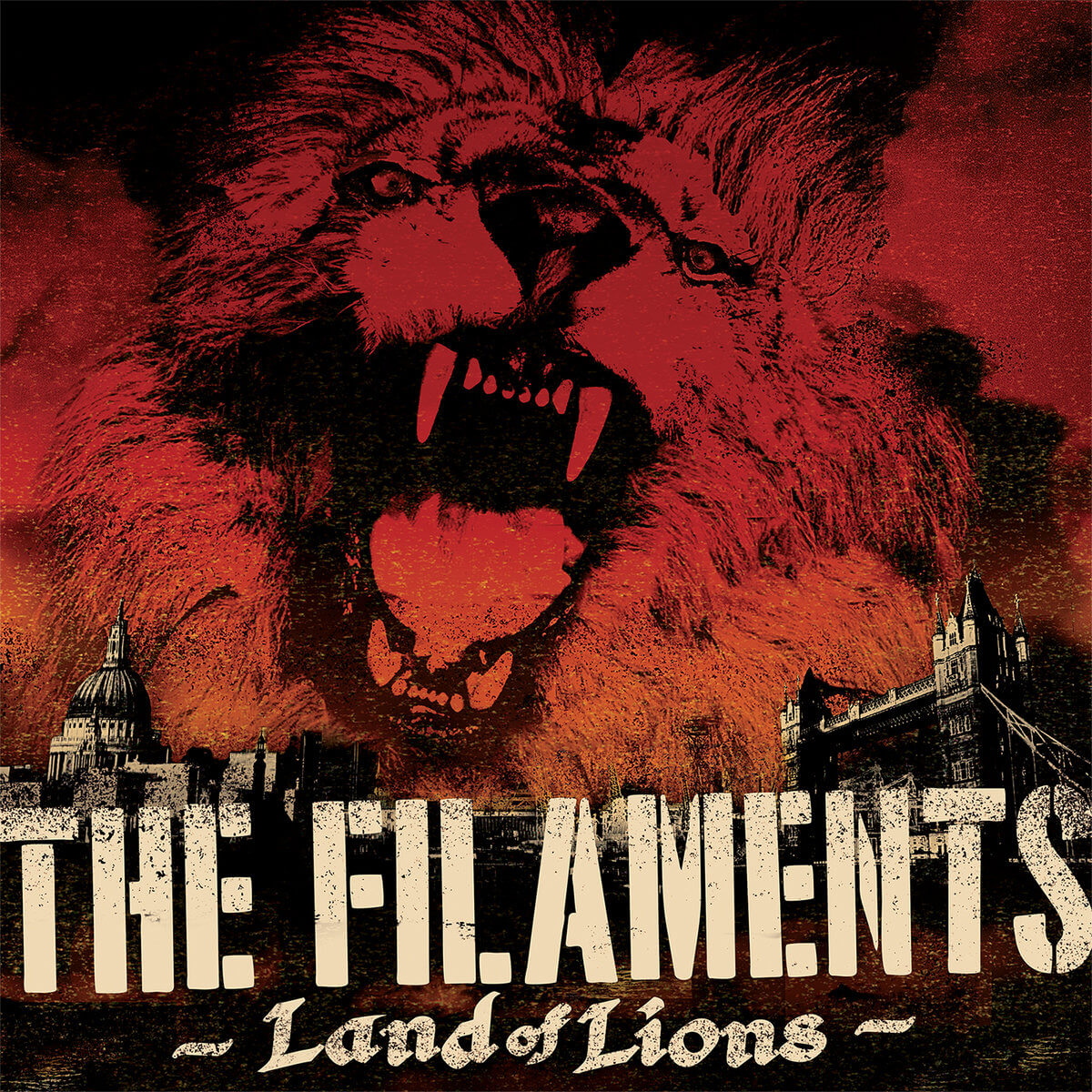 FILAMENTS Land of lions
