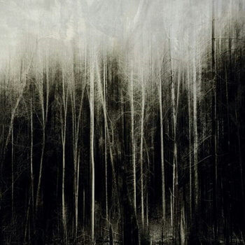 PLAGUE THIRTEEN Eroded